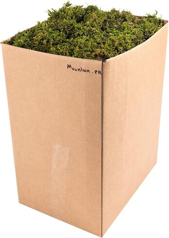 SuperMoss (23806) Mountain Moss Preserved, Fresh Green, 5lbs in Saudi Arabia