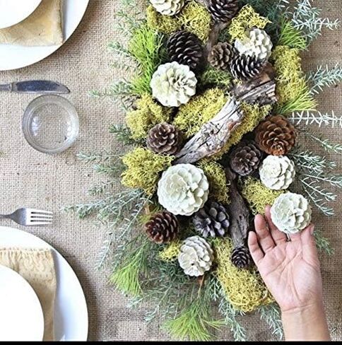 Preserved Reindeer Moss 2 oz/Decorative Moss for Potted Plants, Orchids, Terrariums, Fairy Gardens, Home Decor, Wedding Decor, Dried Natural Lichen/Moss Art Wall Decor (Forest Green) in Kuwait