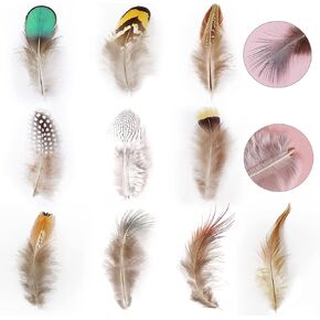 300PCS 10 Styles Natural Feathers Assorted Mixed Feathers for Dream Catcher and DIY Crafting Making Home Decorations in Kuwait