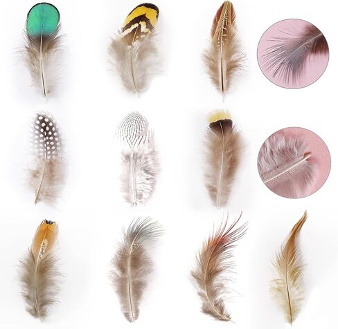 300 قطعة 10 أنماط من الريش الطبيعي المتنوع لصائد الأحلام وصياغة المنزل بنفسك in Kuwait