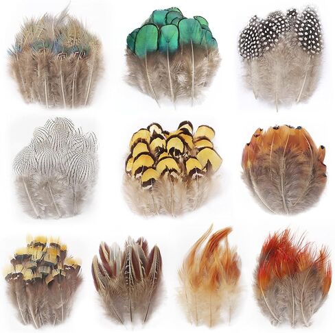300 قطعة 10 أنماط من الريش الطبيعي المتنوع لصائد الأحلام وصياغة المنزل بنفسك in Kuwait