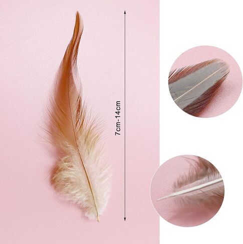 300 قطعة 10 أنماط من الريش الطبيعي المتنوع لصائد الأحلام وصياغة المنزل بنفسك in Kuwait