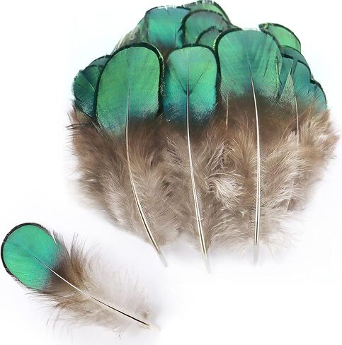 300 قطعة 10 أنماط من الريش الطبيعي المتنوع لصائد الأحلام وصياغة المنزل بنفسك in Kuwait