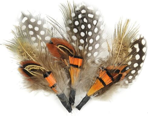 Touch of Nature 38108 3-Piece Natural Feather Pick with Nylon Loop for Arts and Crafts, 3.5-Inch, Guinea/Orange in Kuwait