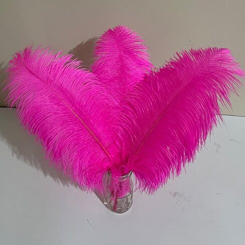 10pcs Large Black Ostrich Feathers 16-18 inch Fluffy Feather for Crafts Home Party Decoration Wedding Centerpieces Clothes Vase Decor in Kuwait
