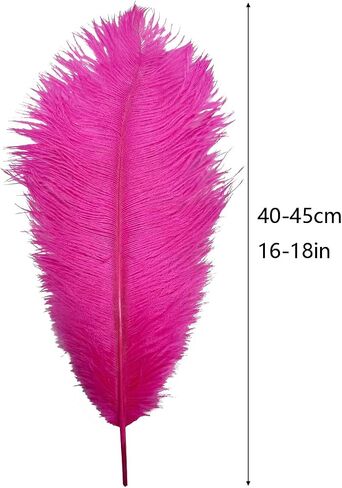 10pcs Large Black Ostrich Feathers 16-18 inch Fluffy Feather for Crafts Home Party Decoration Wedding Centerpieces Clothes Vase Decor in Kuwait