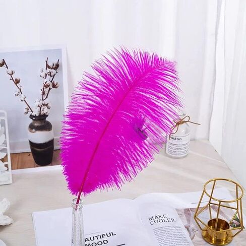 10pcs Large Black Ostrich Feathers 16-18 inch Fluffy Feather for Crafts Home Party Decoration Wedding Centerpieces Clothes Vase Decor in Kuwait