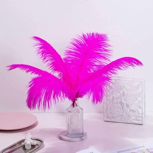 10pcs Large Black Ostrich Feathers 16-18 inch Fluffy Feather for Crafts Home Party Decoration Wedding Centerpieces Clothes Vase Decor in Kuwait