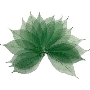 100 قطعة من أوراق الهيكل العظمي الأخضر شجرة المطاط الطبيعية سكرابوكينغ الحرفية DIY بطاقة الزفاف in Kuwait