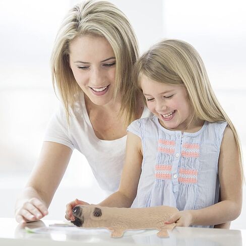 كرات ضغط اليد على شكل كلب الصلصال، ألعاب تململ الأصابع، كرة تخفيف الضغط، قطعتين من كرات الضغط المتوهجة للكلب شار بي، كرة تمدد حسية، كرة تخفيف الضغط، كرات الضغط والقلق in Kuwait