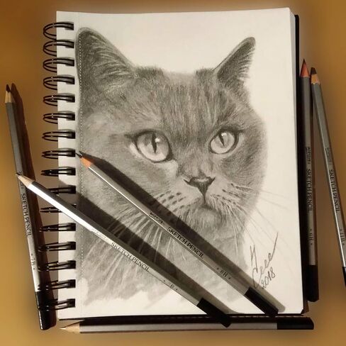 dainayw Professional Drawing Sketching Pencils Set, 24 Pieces Art Pencils (14B - 9H), Graphite Shading Pencils for Beginners & Pro Artists in Kuwait