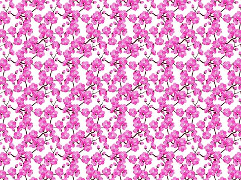 Cherry Blossom Note Cards: 12 Blank Note Cards & Envelopes (4 x 6 inch cards in a box) in Saudi Arabia
