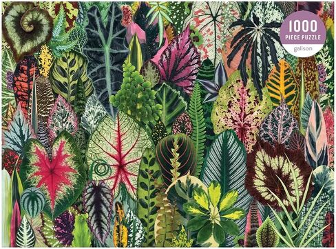 أحجية الصور المقطوعة المكونة من 1000 قطعة من Galison Houseplant Jungle للبالغين - أحجية الصور المقطوعة النباتية مع مزيج من النباتات العصارية والنباتات المنزلية الأخرى - نشاط داخلي ممتع، متعدد الألوان in Kuwait
