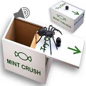 Spider Box Prank, Gift Box Spider Prank, Kid Prank Toys, Fake Spider Box, Spider Prank Scare Box, Spider Prank Box Realistic, Spider in a Box Prank Gift, Prank Spider Scare Box