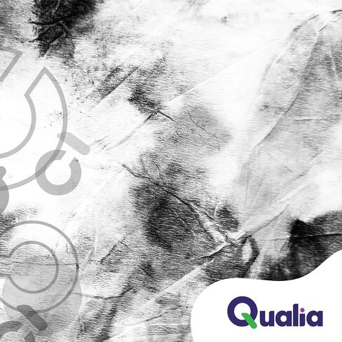 صبغة مسحوق النسيج لجميع الأغراض من Qualia - تستخدم على القطن والصوف والحرير والخشب والكتان - مثالية لصبغ التعادل والحرف اليدوية الأخرى (عبوة واحدة، أسود) in Kuwait