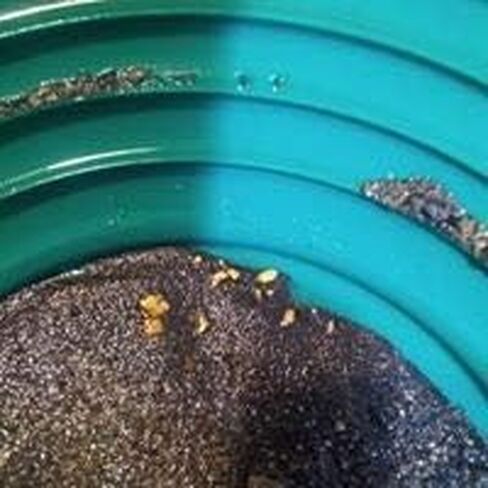 Black Sand Challenge in Saudi Arabia