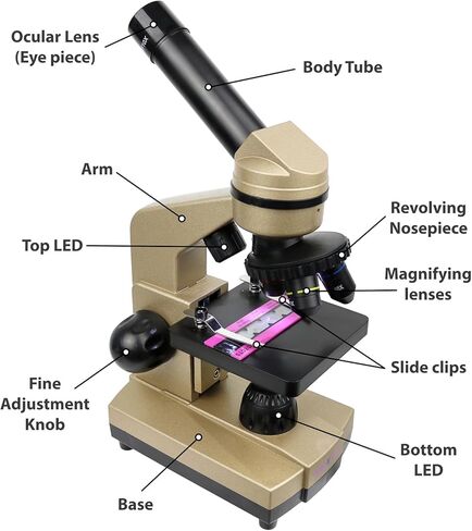 Click N' Play Microscope for Kids 3 Magnification Levels 40x 100x 400x Includes Slides Science Experiments & Accessories Portable Student Metal Microscope 52 pc set in Kuwait