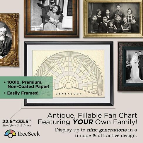 مخطط حائط لمروحة علم الأنساب من TreeSeek | نموذج نسب كبير فارغ قابل للتعبئة لتاريخ العائلة والنسب 2pk in Kuwait