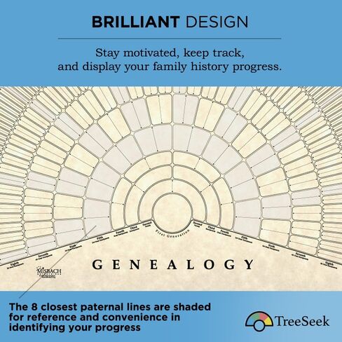 مخطط حائط لمروحة علم الأنساب من TreeSeek | نموذج نسب كبير فارغ قابل للتعبئة لتاريخ العائلة والنسب 2pk in Kuwait