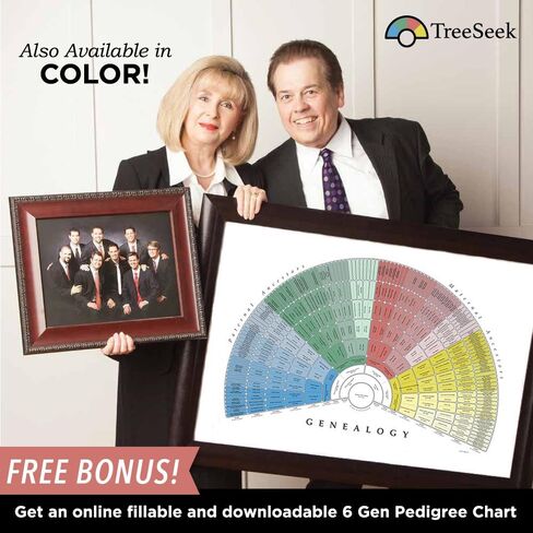 مخطط حائط لمروحة علم الأنساب من TreeSeek | نموذج نسب كبير فارغ قابل للتعبئة لتاريخ العائلة والنسب 2pk in Kuwait