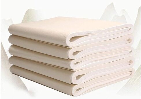 Tianjintang Handmade Chinese Blank Calligraphy Ink Writing Painting Raw Xuan Paper Sheets Sheng Xuan 生宣 34 x69 cm/ 13.4 x 27.2in 100 Sheets in Kuwait