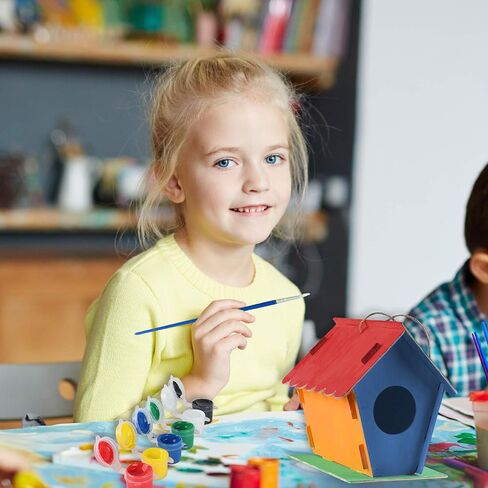 مجموعة بيت الطيور DIY للأطفال، مجموعة بناء يور أون بيرد هاوس للأطفال، تتضمن 4 بيوت كبيرة غير مكتملة للطلاء والبناء (17.54 سم × 11.67 سم × 6.6)، حبال، 12 طلاء، طلاء لامع، 2 فرشاتان in Kuwait