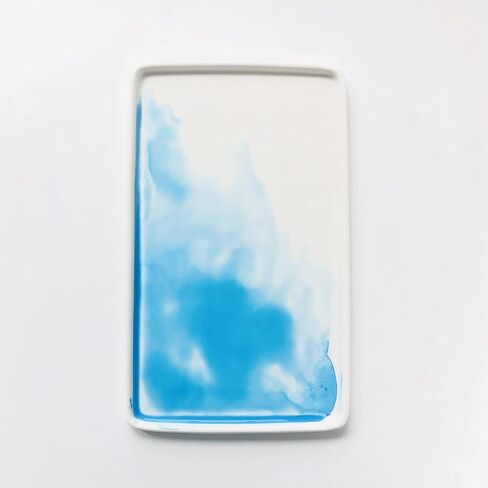 لوحة ألوان مائية من البورسلين من بور بيرد 9 × 5.5 بوصة لوحة سيراميك احترافية للفنانين in Kuwait