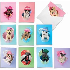 The Best Card Company - 10 Blank Dog Greeting Cards for All Occasions (4 x 5.12 Inch) - Boo The World's Cutest Dog AM6755OCB-B1x10