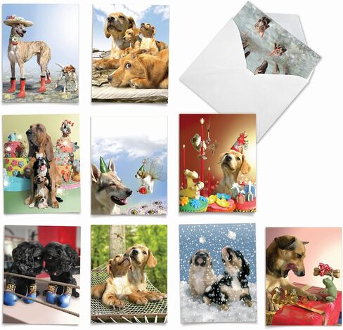 The Best Card Company - 10 بطاقات تهنئة فارغة للكلاب لجميع المناسبات (4 × 5.12 بوصة) - Puppy Love M6546OCB in Kuwait