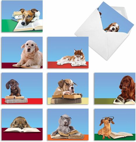 The Best Card Company - 10 بطاقات تهنئة فارغة للكلاب لجميع المناسبات (4 × 5.12 بوصة) - Puppy Love M6546OCB in Kuwait