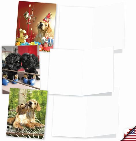 The Best Card Company - 10 بطاقات تهنئة فارغة للكلاب لجميع المناسبات (4 × 5.12 بوصة) - Puppy Love M6546OCB in Kuwait