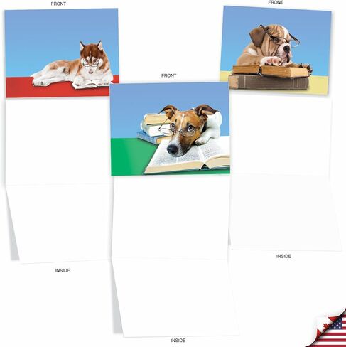 The Best Card Company - 10 بطاقات تهنئة فارغة للكلاب لجميع المناسبات (4 × 5.12 بوصة) - Puppy Love M6546OCB in Kuwait
