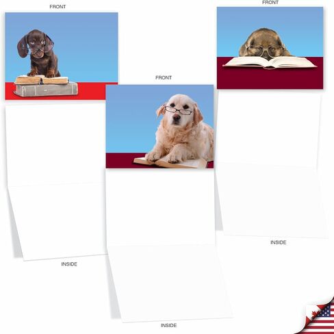 The Best Card Company - 10 بطاقات تهنئة فارغة للكلاب لجميع المناسبات (4 × 5.12 بوصة) - Puppy Love M6546OCB in Kuwait