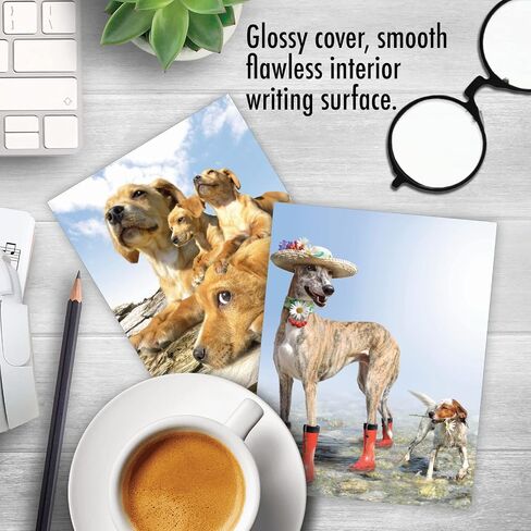 The Best Card Company - 10 بطاقات تهنئة فارغة للكلاب لجميع المناسبات (4 × 5.12 بوصة) - Puppy Love M6546OCB in Kuwait