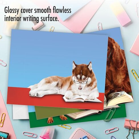 The Best Card Company - 10 بطاقات تهنئة فارغة للكلاب لجميع المناسبات (4 × 5.12 بوصة) - Puppy Love M6546OCB in Kuwait