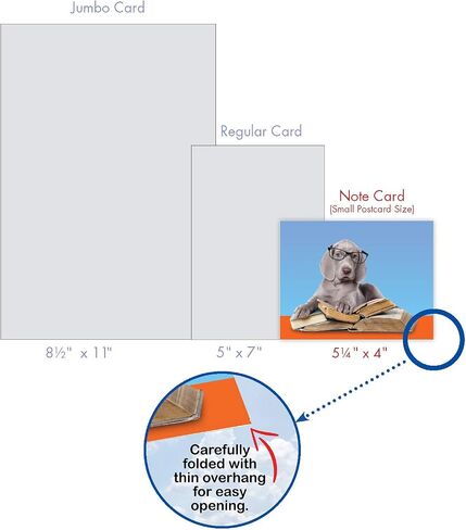 The Best Card Company - 10 بطاقات تهنئة فارغة للكلاب لجميع المناسبات (4 × 5.12 بوصة) - Puppy Love M6546OCB in Kuwait