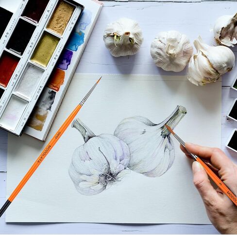 مجموعة فرش الطلاء النموذجية - 11 قطعة من فرش الرسم الدقيقة للاكريليك والزيت والالوان المائية - مجموعات الطائرات، السيراميك، المينا، المصغرة، وورهامر 40 قيراط in Kuwait