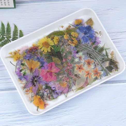 120pcs Scrapbooks Stickers, Green Fern Sticker, Large Size Mushroom Sticker, Butterflies Sticker, Transparent Bottle Sticker for Adult Nature Flower Plant Decals for Journaling, Planner in Kuwait