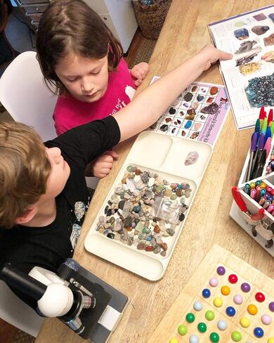 مجموعة أنشطة الدب الراقص للصخور والمعادن (مجموعة 200 قطعة) مع نيزك، وأحافير أسنان القرش الحقيقية، ورؤوس الأسهم، والكريستال، والأحجار الكريمة، وورقة تعريف البحث عن الكنز، وتعليم علوم العلوم والتكنولوجيا والهندسة والرياضيات، صنع في الولايات المتحدة الأمريكي in Kuwait