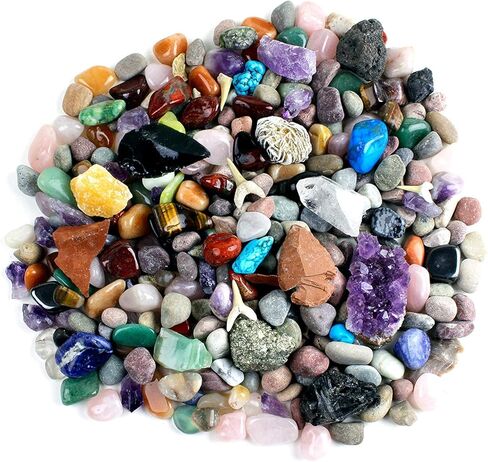 مجموعة أنشطة الدب الراقص للصخور والمعادن (مجموعة 200 قطعة) مع نيزك، وأحافير أسنان القرش الحقيقية، ورؤوس الأسهم، والكريستال، والأحجار الكريمة، وورقة تعريف البحث عن الكنز، وتعليم علوم العلوم والتكنولوجيا والهندسة والرياضيات، صنع في الولايات المتحدة الأمريكي in Kuwait