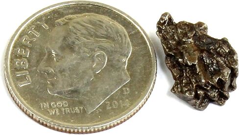 مجموعة أنشطة الدب الراقص للصخور والمعادن (مجموعة 200 قطعة) مع نيزك، وأحافير أسنان القرش الحقيقية، ورؤوس الأسهم، والكريستال، والأحجار الكريمة، وورقة تعريف البحث عن الكنز، وتعليم علوم العلوم والتكنولوجيا والهندسة والرياضيات، صنع في الولايات المتحدة الأمريكي in Kuwait