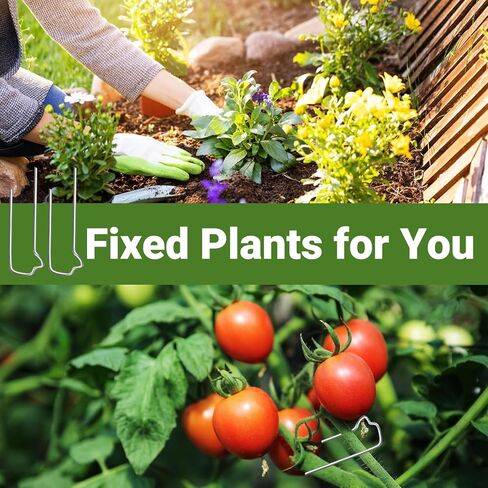 150PCS Floral Pins, Greening Pins, 1.7 Inch Floral U-Shape Plant Pins for Indoor Plants, Climbing Plants, Straw Wreaths, DIY Sewing Project, Holiday Arrangements in Kuwait