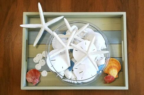 Tumbler Home Starfish and Sand Dollars (12 قطعة) - 6 أصابع نجم البحر (4"-6 بوصة) و6 دولارات رملية (3"-3.5 بوصة) - نجم البحر ودولار رملي للحرف اليدوية in Kuwait