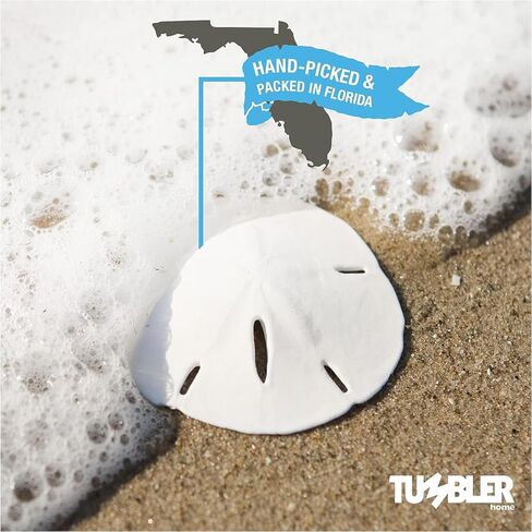 Tumbler Home Starfish and Sand Dollars (12 قطعة) - 6 أصابع نجم البحر (4"-6 بوصة) و6 دولارات رملية (3"-3.5 بوصة) - نجم البحر ودولار رملي للحرف اليدوية in Kuwait
