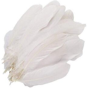 100 قطعة 6-9 بوصة ريش أبيض ريش الإوز الطبيعي ريش الإوز ريش المنزل الزفاف عيد الميلاد حزب ديكور كبير ريش الإوز diy اكسسوارات الحرف الزفاف المنزل حزب الديكور in Kuwait