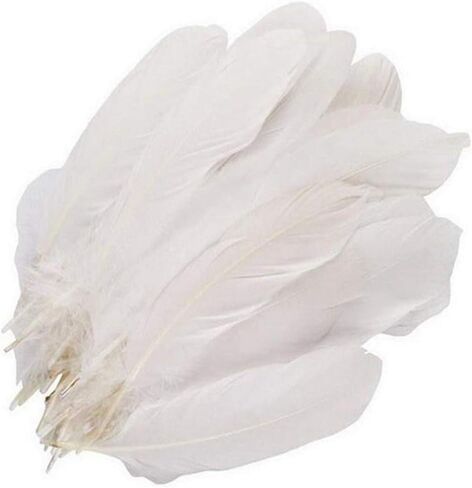 100 قطعة 6-9 بوصة ريش أبيض ريش الإوز الطبيعي ريش الإوز ريش المنزل الزفاف عيد الميلاد حزب ديكور كبير ريش الإوز diy اكسسوارات الحرف الزفاف المنزل حزب الديكور in Kuwait