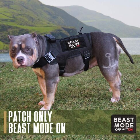 LIVANS Tactical Patch Beast Mode On, Military Emblem Badge Patch Hook & Loop Decorative Decal Emblem Morale Patches for Backpacks Caps Hats Bags Military Uniform in Saudi Arabia