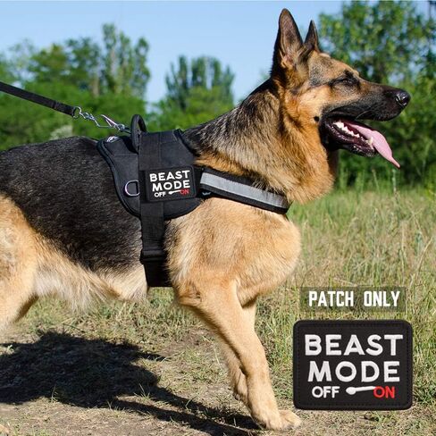 LIVANS Tactical Patch Beast Mode On, Military Emblem Badge Patch Hook & Loop Decorative Decal Emblem Morale Patches for Backpacks Caps Hats Bags Military Uniform in Saudi Arabia