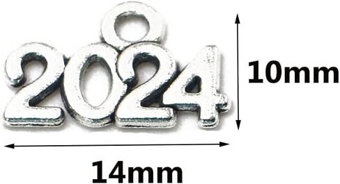 WiYould 100 قطعة عام 2024 سحر 2024 عام سحر سبيكة 2024 حرف سحر لرأس السنة الجديدة هدية صنع المجوهرات شرابة التخرج DIY (فضي 2024) in Kuwait