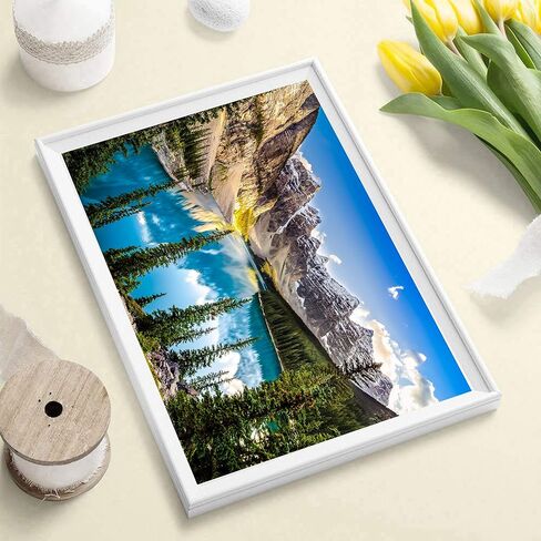 12 حزمة مجموعات اللوحة الماسية للبالغين، الماس الفن الطيور الحيوانات HD قماش DIY 5D الحفر الكامل جولة كريستال حجر الراين جوهرة الفنون النقاط الماس الطلاء الحرفية لديكور جدار المنزل الجديد - 12 × 12 بوصة × 12 قطعة in Kuwait